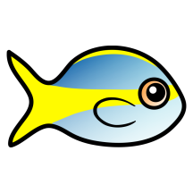 Cute Yellowtail Snapper