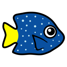 Cute Yellowtail Damselfish