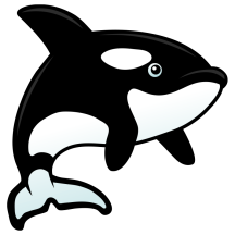 Cute Orca