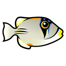 Cute Arabian Picassofish