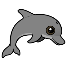 Cute Bottlenose Dolphin