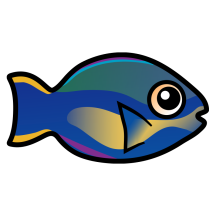 Cute Princess Parrotfish