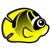 Raccoon Butterflyfish