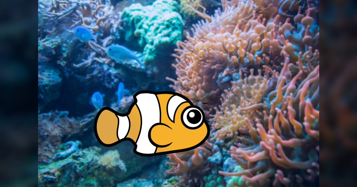 Scubadorable's Clown Anemonefish Fun Facts for Kids