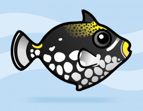 Clown Triggerfish
