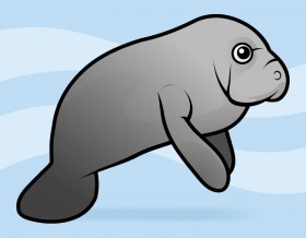 Manatee