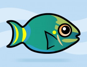 Stoplight Parrotfish