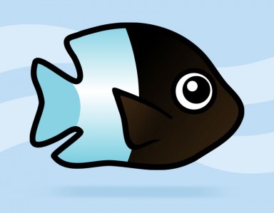 Bicolor Damselfish