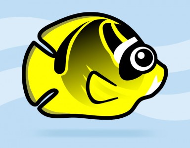 Raccoon Butterflyfish