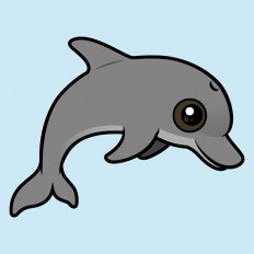 Common Bottlenose Dolphin