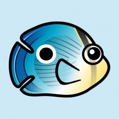 Foureye Butterflyfish