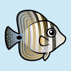 Red Sea Sailfin Tang