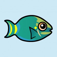 Stoplight Parrotfish