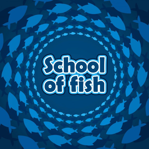 Collective Nouns For Fish And Friends Scubadorable Collective nouns for fish and friends scubadorable
